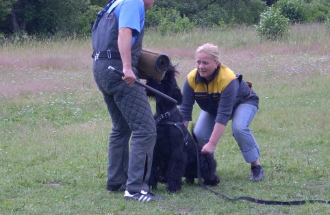 Training in Estonia 6/2007